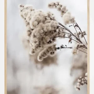 Winter Is Coming Poster (21x29.7 cm (A4)) Prix Bas