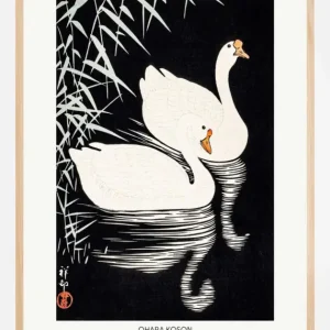 White Chinese Geese Swimming by Reeds Poster (21x29.7 cm (A4)) Petit Prix