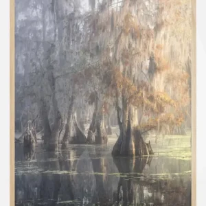 Achat Immédiat Louisiana Swamp Poster (21x29.7 cm (A4))