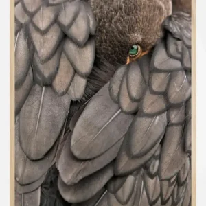 An Emerald with Diamonds Poster (21x29.7 cm (A4)) Certifié