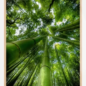 ARASHIYAMA Poster (21x29.7 cm (A4)) Réduction