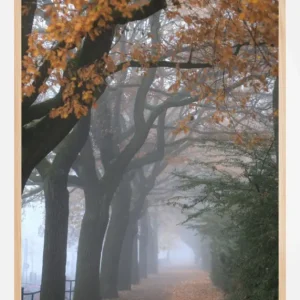 Autum Stroll Poster (21x29.7 cm (A4)) Bon Plan