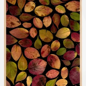 Autum Leafs Poster (21x29.7 cm (A4)) Affaire À Saisir