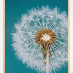 Vente Directe Dandelion Macro Sky Poster (21x29.7 cm (A4))