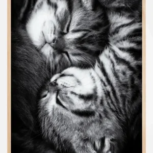 Yin And Yang Poster (21x29.7 cm (A4)) Quantité Limitée