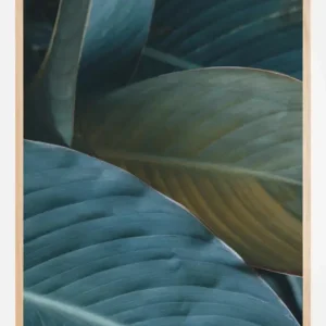 Usine Directe Leaf Close-Up Poster (21x29.7 cm (A4))