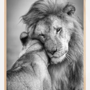 African Love! Poster (21x29.7 cm (A4)) Soldes