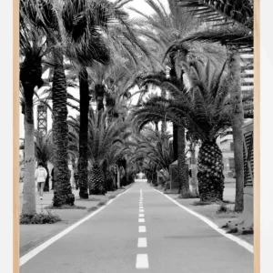 Allè Poster (21x29.7 cm (A4)) Quantité Limitée