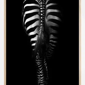 Zebra Tail Poster (21x29.7 cm (A4)) Populaire