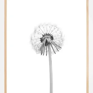 Vente Directe Dandelion Poster (21x29.7 cm (A4))