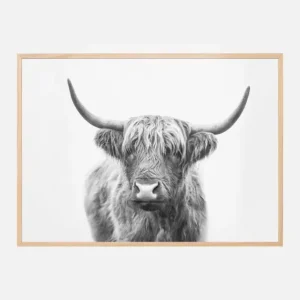 Achetez Aujourd’hui Highland Bull Poster (21x29.7 cm (A4))