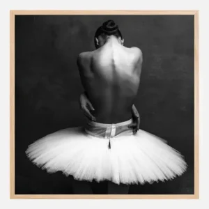 Ballerina's back Poster (30x30 cm) Acheter Direct