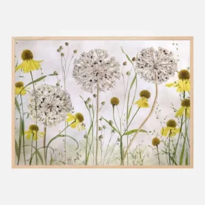 Alliums and heleniums Poster (21x29.7 cm (A4)) Livraison Express