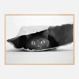 Achat Immédiat Cat in a bag Poster (21x29.7 cm (A4))