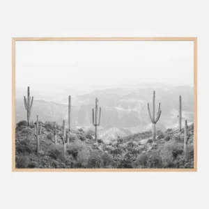 Western Cactus Poster (21x29.7 cm (A4)) Expédition Rapide