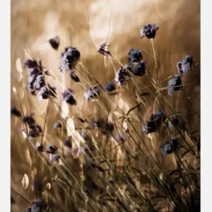 To Be Free In Light Canvasprint (30x40 cm) Dernier Modèle