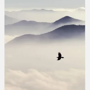 Affaire À Saisir Feel Free Canvasprint (30x40 cm)