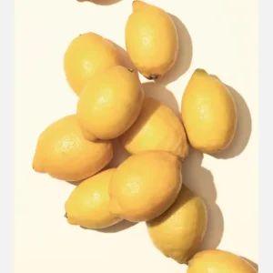 Vente Flash Lemons I Canvasprint (30x40 cm)