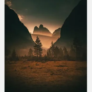 Affaire À Saisir Forest Canvasprint (30x40 cm)