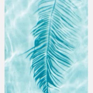 Turquoise Palm Leave Canvasprint (30x40 cm) Usine Directe