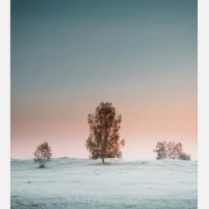 A Peaceful Morning Canvasprint (30x40 cm) Top Vente