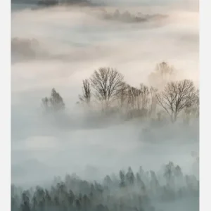 Winter Fog Canvasprint (30x40 cm) Livraison Gratuite