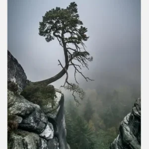 Vente Flash Against The Odds Canvasprint (30x40 cm)