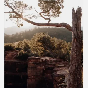 Vente Flash Broken Tree Canvasprint (30x40 cm)