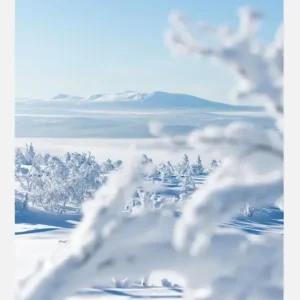 The Silence Of Snowlight Canvasprint (30x40 cm) Nouveauté