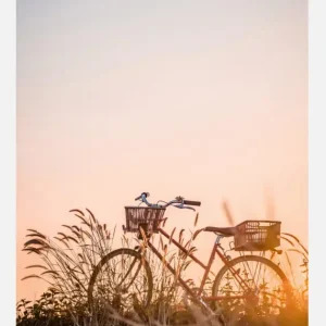 Bike Ride In The Sunset Canvasprint (30x40 cm) Offre Du Jour