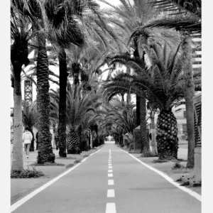 Allè Canvasprint (30x40 cm) Paiement Sécurisé