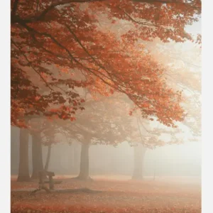 The Wonders Of Nature Canvasprint (30x40 cm) Usine Directe