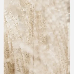 Achat Immédiat Bright Grass Canvasprint (30x40 cm)