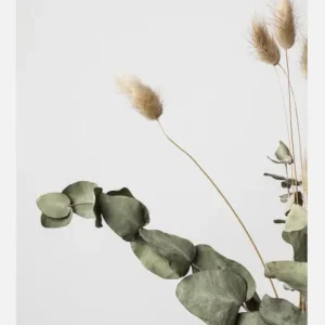 Vente Flash Dried 002 Canvasprint (30x40 cm)