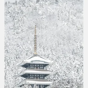 Tower Of Winter Canvasprint (30x40 cm) Commander Vite