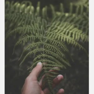 Vente Directe Hand On Ferm Canvasprint (30x40 cm)