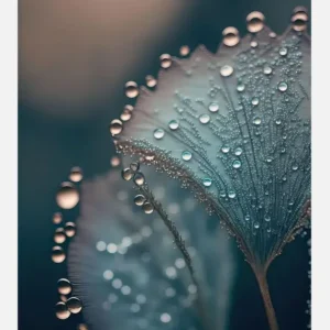 Wet Leafs Canvasprint (30x40 cm) Affaire À Saisir