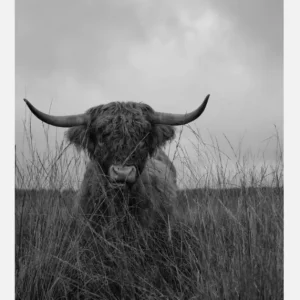 Vente Directe It Wasnt Me Canvasprint (30x40 cm)