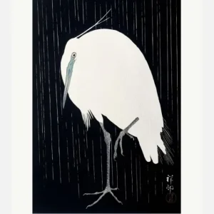 Achat Immédiat Egret In The Rain Canvasprint (30x40 cm)