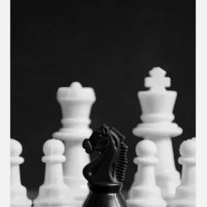 Affaire À Saisir Chess Canvasprint (30x40 cm)