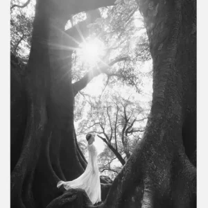 The Daughter Of Trees Canvasprint (30x40 cm) Top Vente