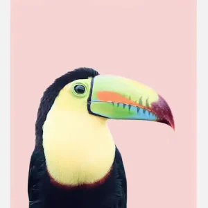 Toucan On Pink Canvasprint (30x40 cm) Super Prix