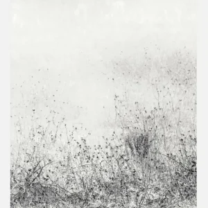 The Endless Grassfields Canvasprint (30x40 cm) Usine Directe