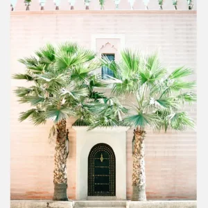 Affaire À Saisir Magical Marrakesh Canvasprint (30x40 cm)