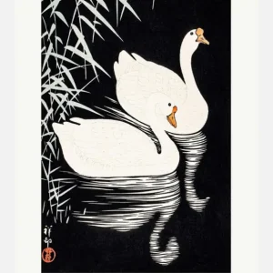Usine Directe White Chinese Geese Swimming By Reeds Canvasprint (30x40 cm)
