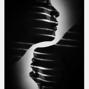 Acheter Direct Gendhist Canvasprint (30x40 cm)