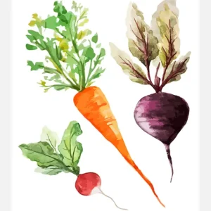 Veggies Canvasprint (30x40 cm) Acheter Direct