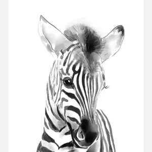 Zebra Watercolor Canvasprint (30x40 cm) Vente Flash