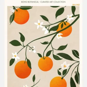 Boho Citrus Sinensis Canvasprint (30x40 cm) Nouvelle Collection