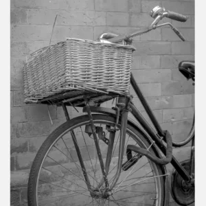 Bicycle Basket Canvasprint (30x40 cm) Remise